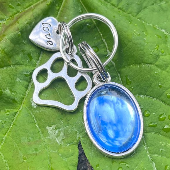Artisan Other - Pet Collar Charm Blue